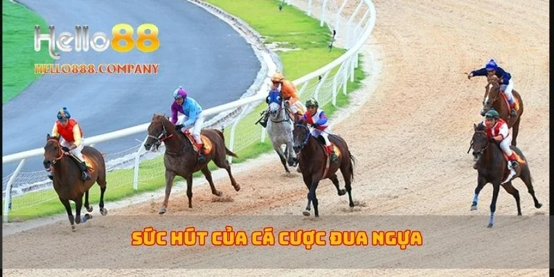 Sức hút của cá cược đua ngựa